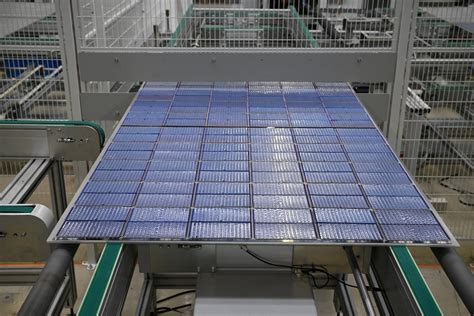 Solar panel maker Meyer Burger's shares plummet after it halts .